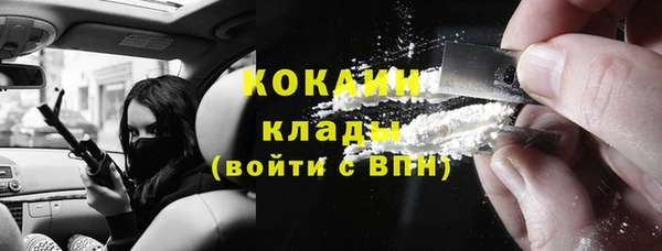 дживик Зеленокумск