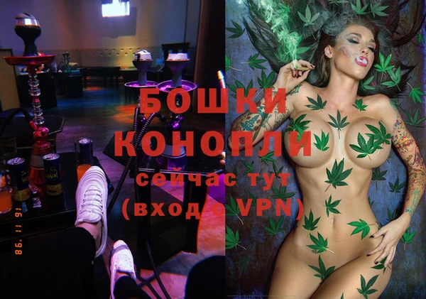 дживик Зеленокумск