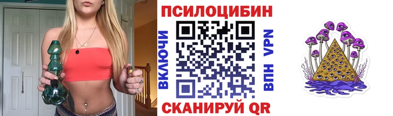 Псилоцибиновые грибы Psilocybe  Купить закладки  Кумертау 
